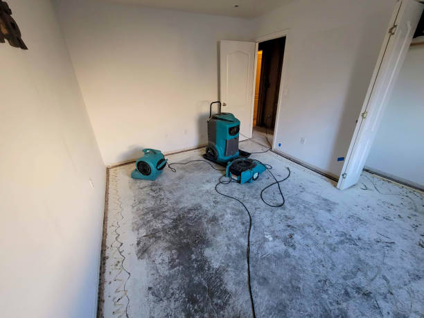 Best Flood restoration services  in Central City, KY