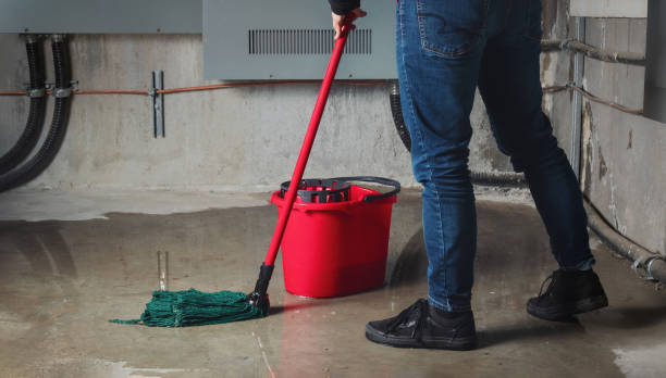 Best Water damage repair service  in Central City, KY