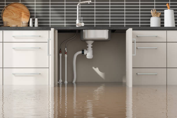 Best Commercial water damage restoration  in Central City, KY