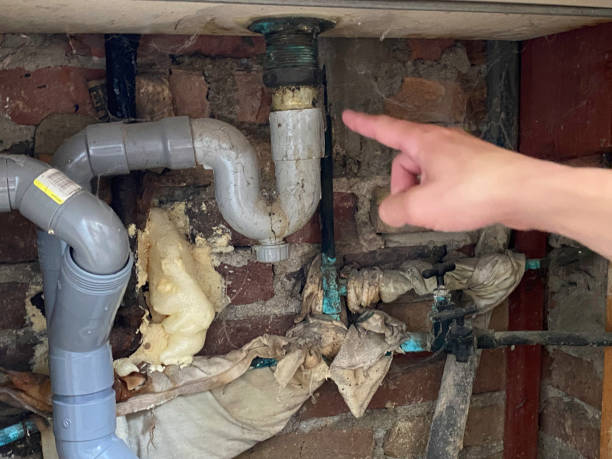 Best Flood damage cleanup  in Central City, KY